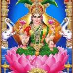 Ramesh Kumar Profile Picture