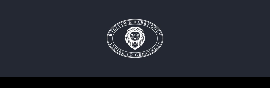 WILLIAM AND HARRY HOLDINGS INC Cover Image