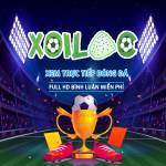 Kenh Xoilac86 Profile Picture