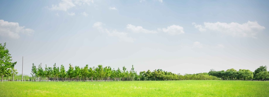 Properties in Rishikesh Cover Image