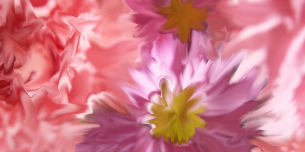 WinSpirit Casino Top Online Casino with 3,500+ Games and Exciting Promotions!