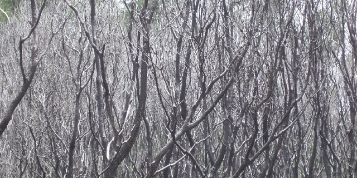 5 Deals You Can't Miss in 2025