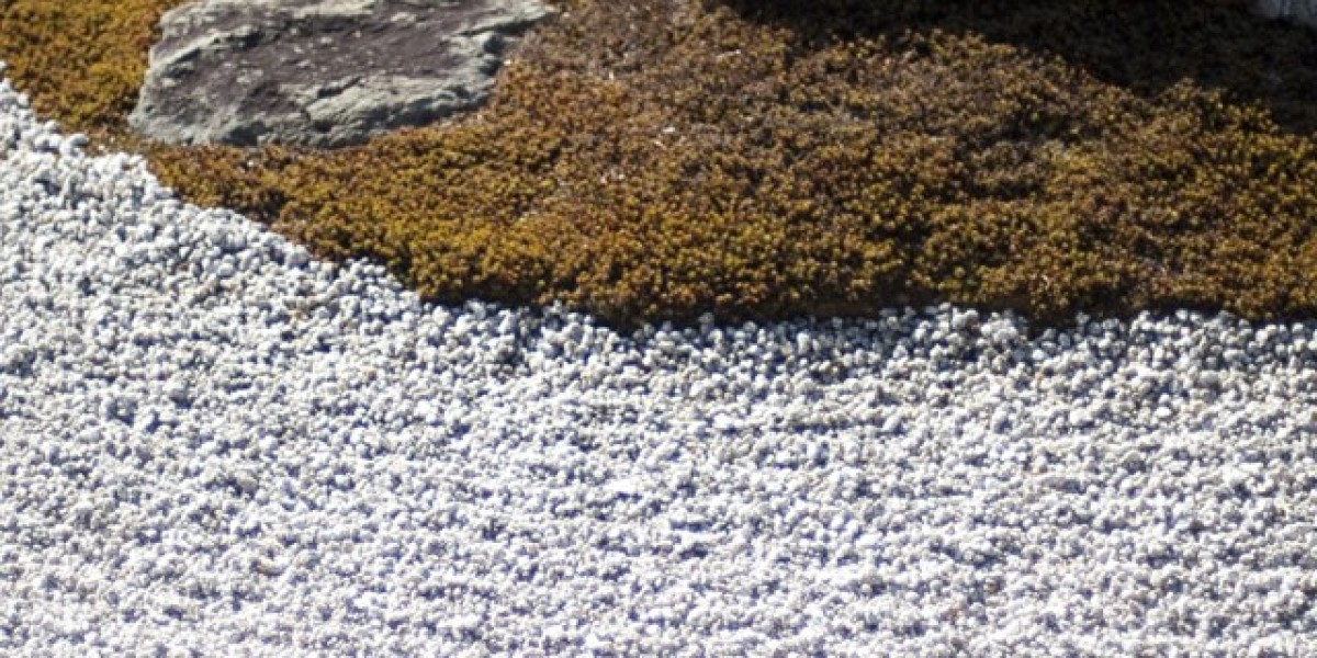 Best Online Live Casinos 2025 Play at the Top US Live Casinos