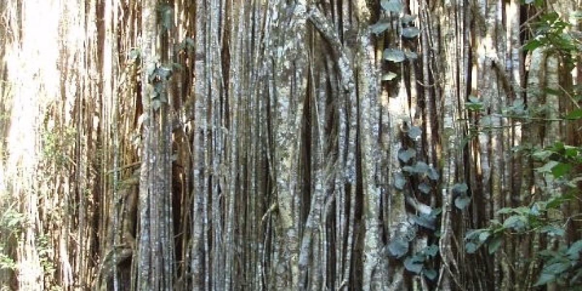 #1 Online Casino Review for Aussie Players 2025