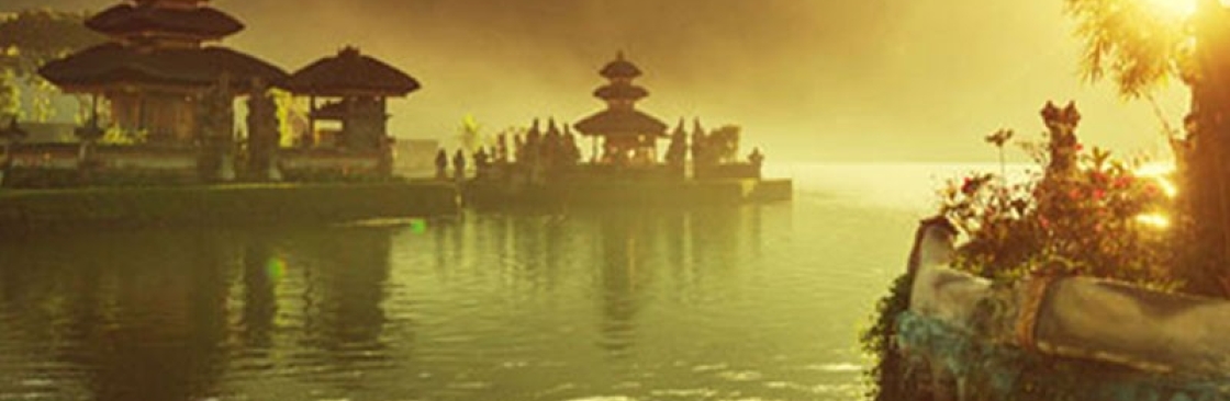 My Palm Leaf Cover Image