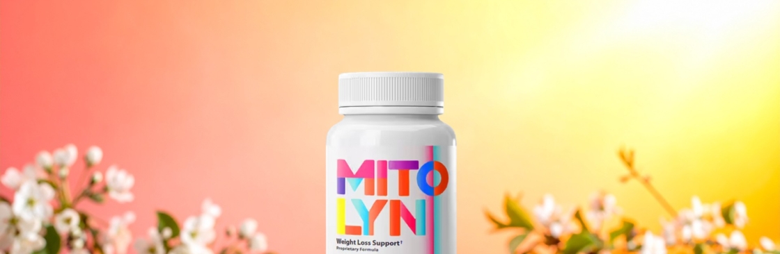 Moon Light Cover Image