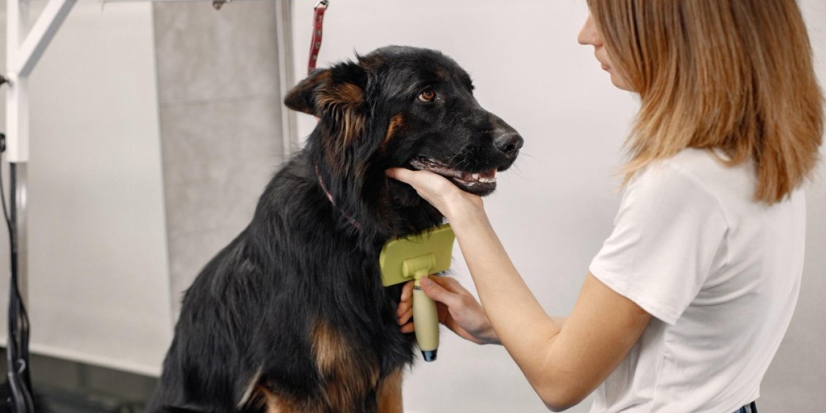 How Mobile Grooming Helps Reactive or Aggressive Dogs Stay Calm