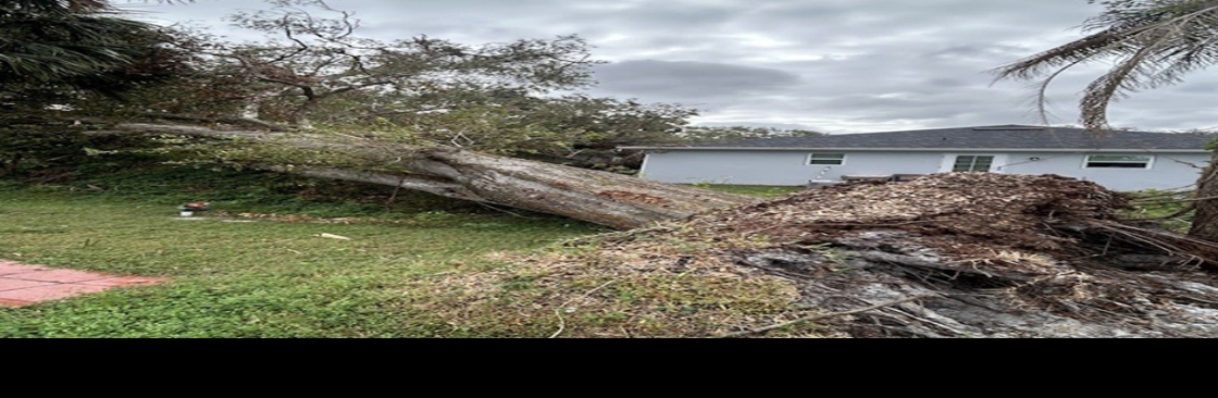 Tree Squad Removal LLC Cover Image