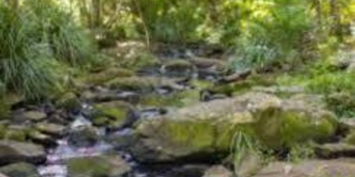 Top Reasons to Schedule a Building and Pest Inspection