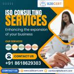 ISO consultants USA Profile Picture