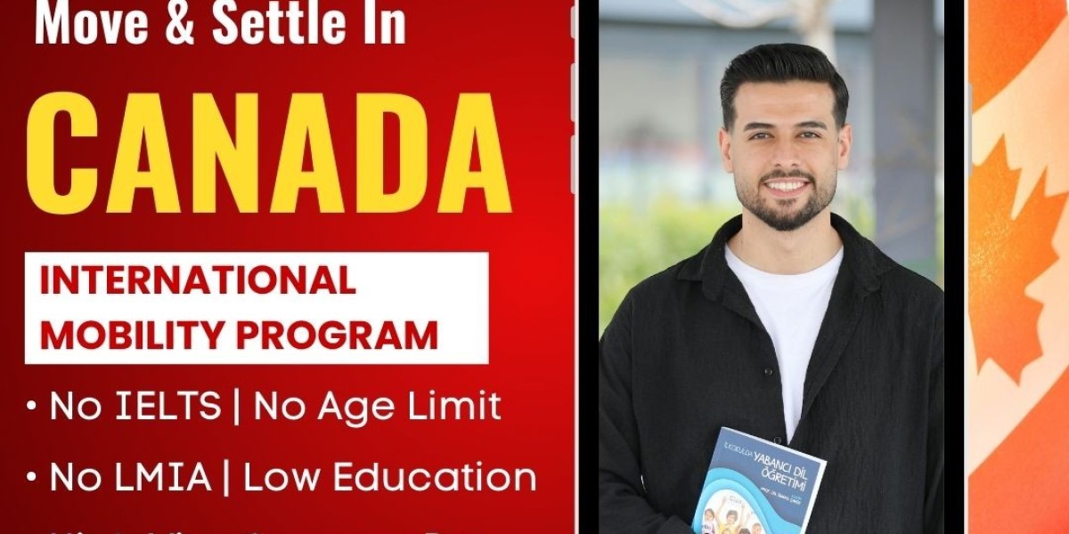 Top Study and tourist visa consultants in Chandigarh