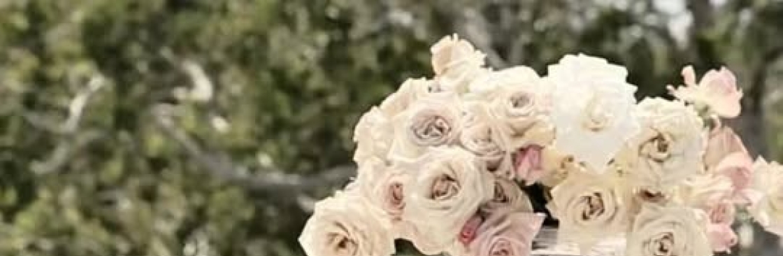 NS STYLING Cover Image