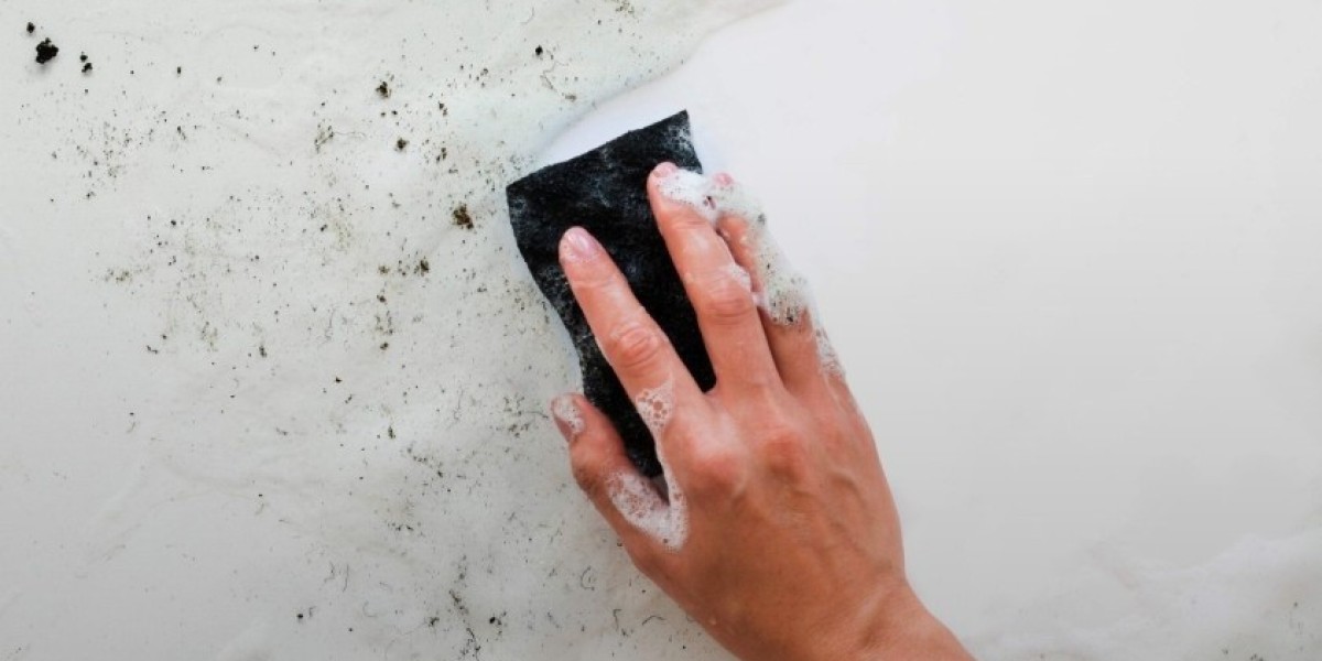 Best Garage Mold Removal Tips for Long Term Results