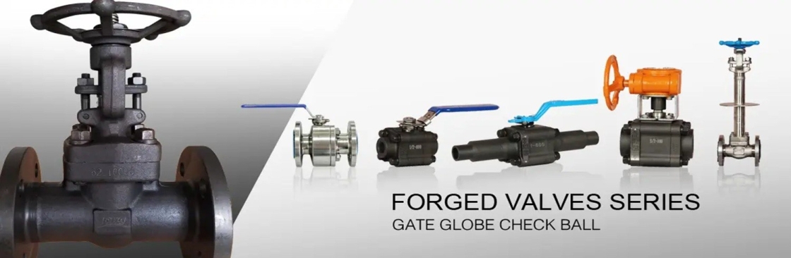 Forged Valves Cover Image