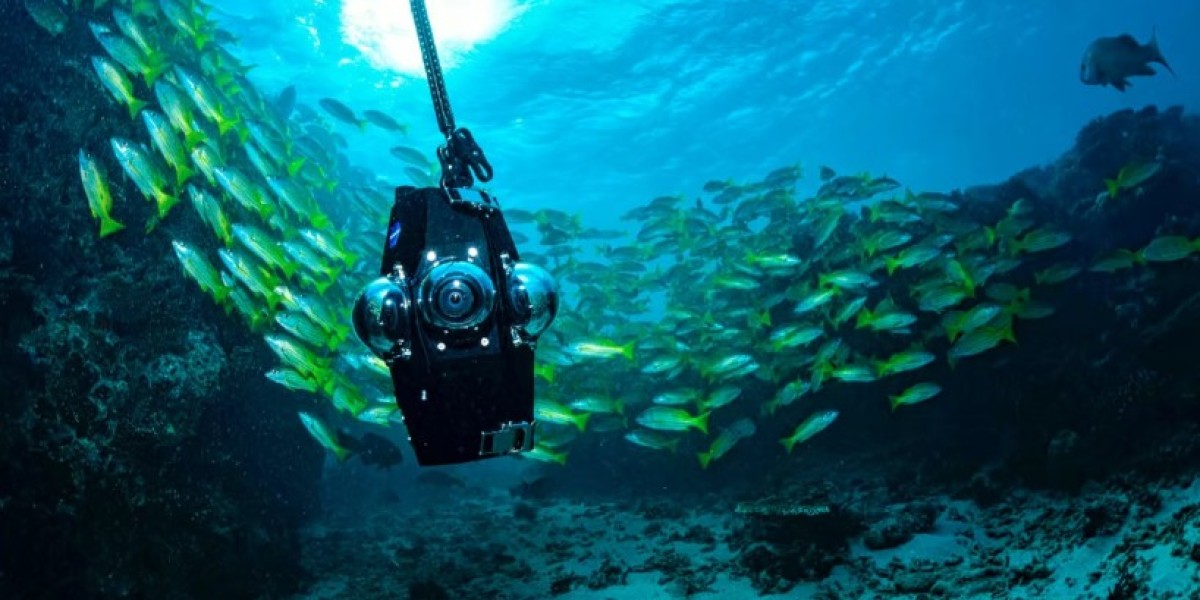 - ⁠catamaran Nouvelle Calédonie