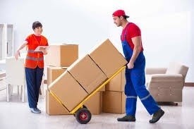 Riya Trans Solution Packers And Movers Profile Picture