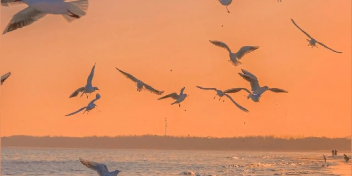 U4GM Tips for Diablo 4 Season 12 Builds That Win Fast