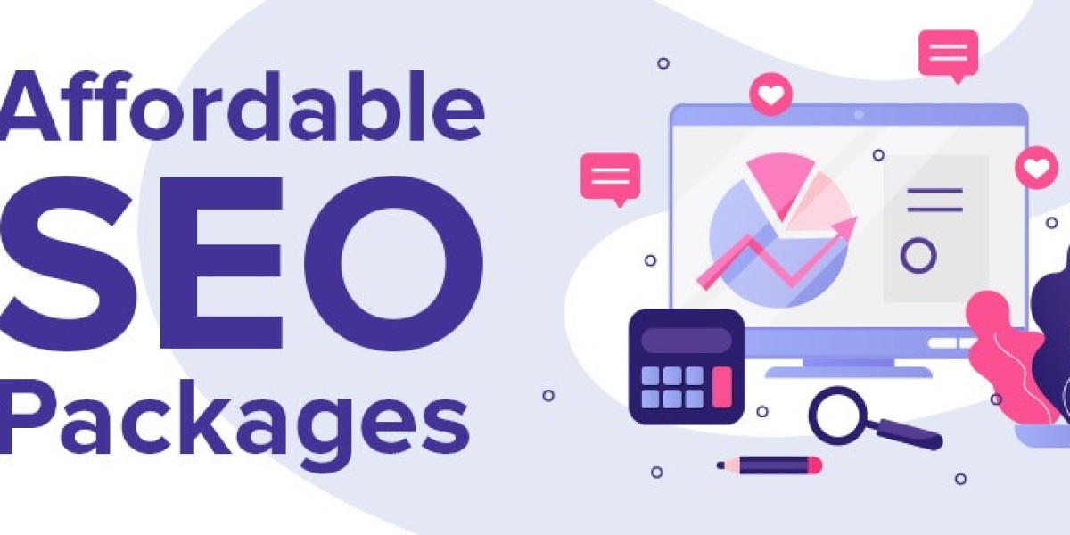 Budget-Friendly Growth: Choosing the Right Affordable SEO Packages