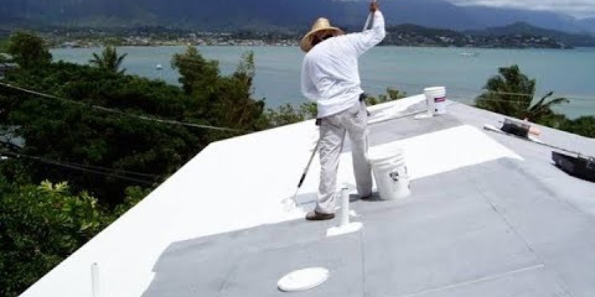 Skilled Roof Painting Services for Long-Lasting Roof Durability