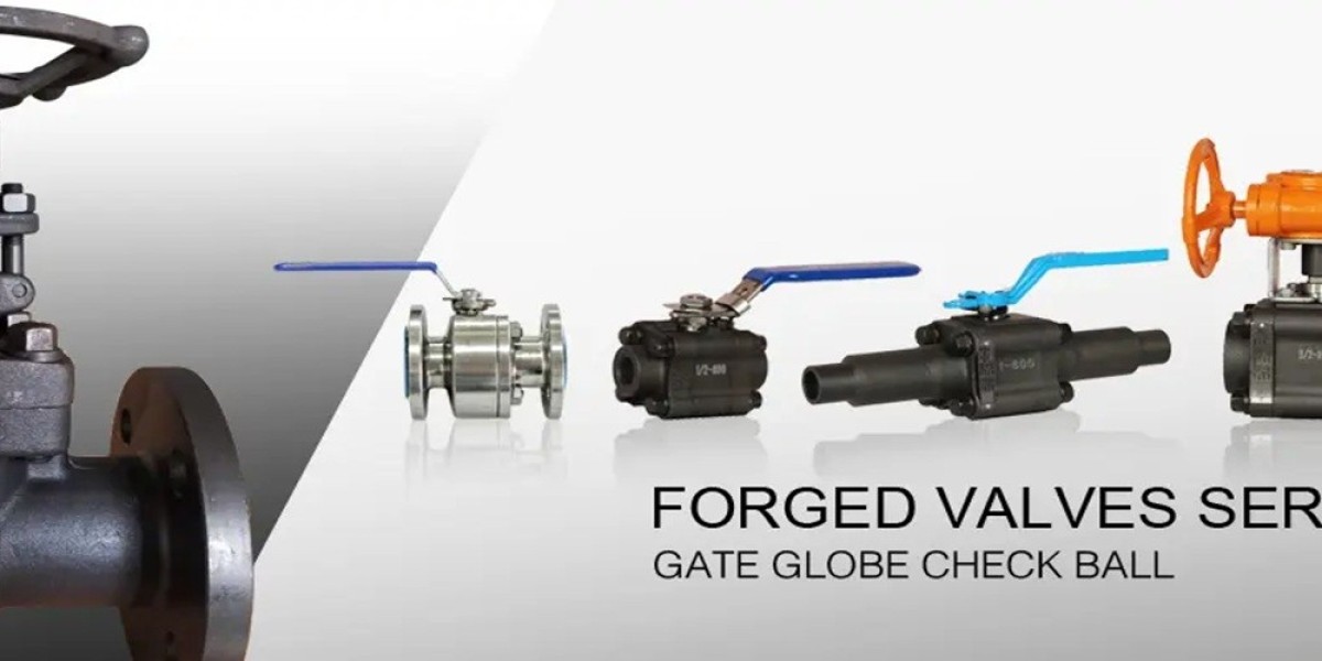 Trusted Forged Steel Valve Manufacturer in China