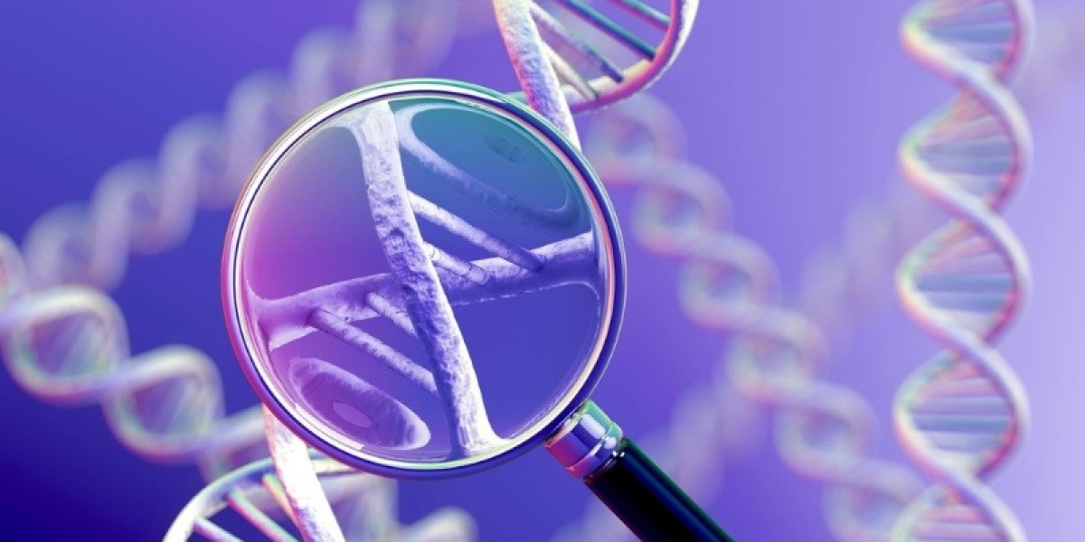 How Does DNA Determine Human Traits?
