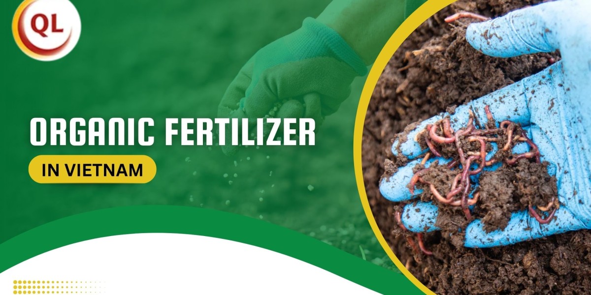 Organic Fertilizer in Vietnam: A Complete Guide for Farmers