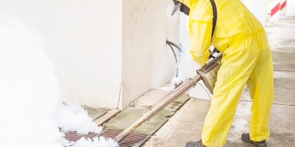 Termite Control and Termite Treatment: Protecting Your Property the Right Way