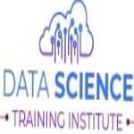 DSTI  Data Science Course in Delhi AI Course in Delhi Profile Picture