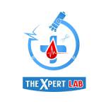 the xpert lab Profile Picture