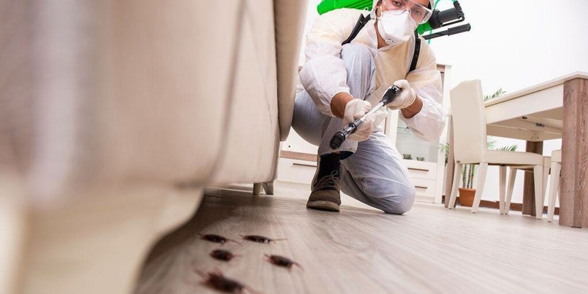 Comprehensive Pest Control Solutions for Safe Homes