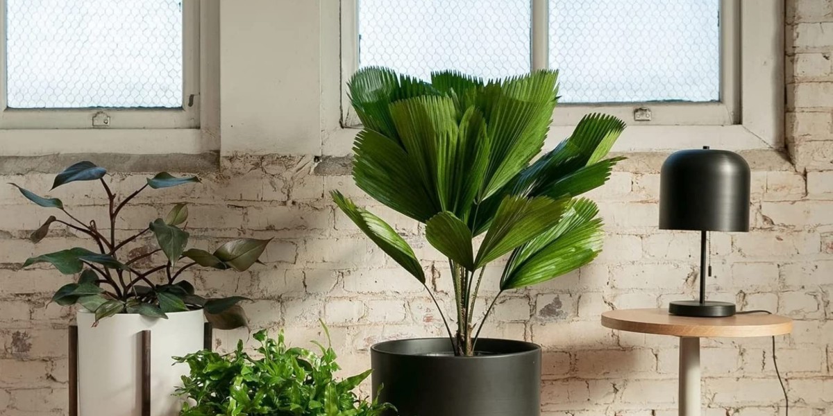 Indoor Planter