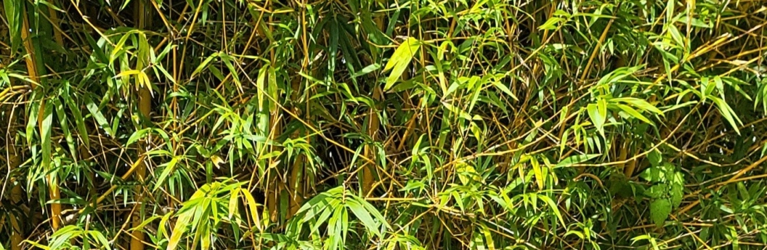 Glamour Doodles Cover Image