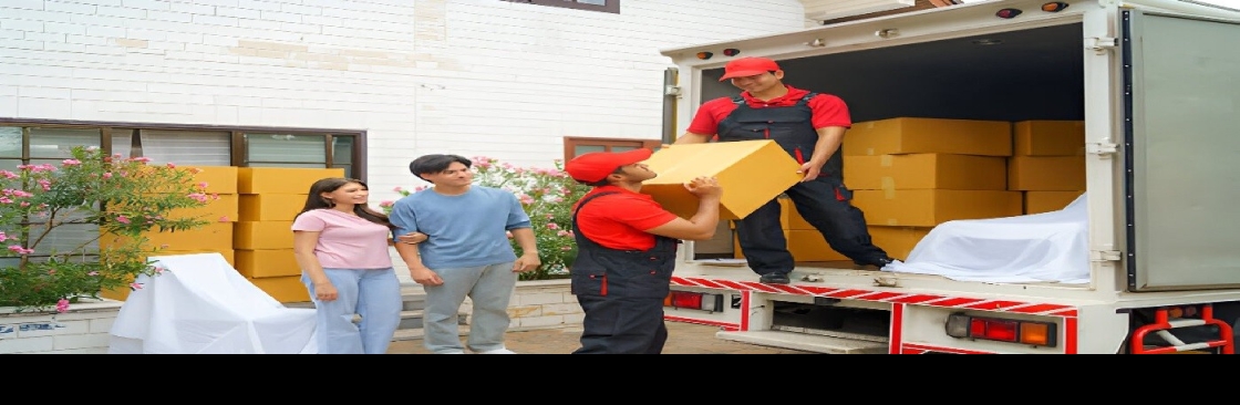 Removalist Auction Cover Image