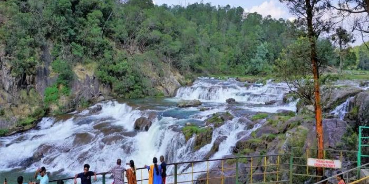 Best Ooty Tour Package (2N/3D & 3N/4D Plans)