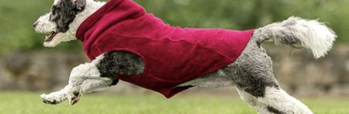 Louie De Coton Cover Image