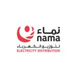 Nama Electricity Distribution Company Profile Picture