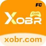 xobr xobr Profile Picture