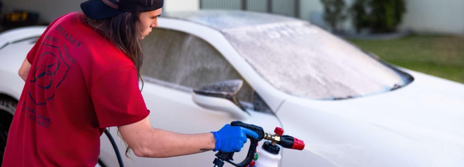 Brianas Mobile Detailing Cover Image