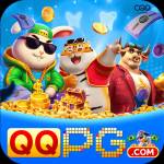 qqpg qqpg Profile Picture